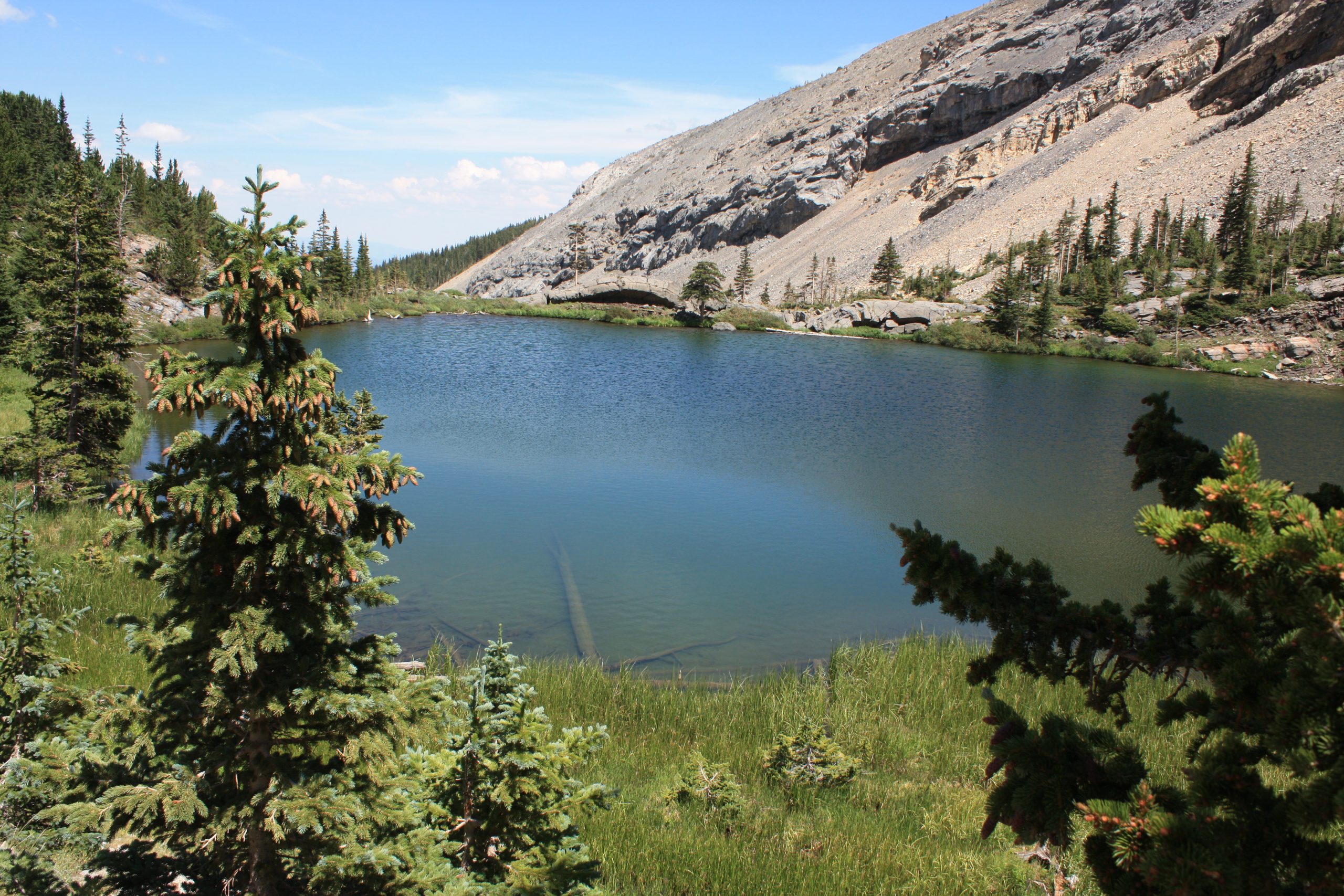 IMG_2762 Twin Sisters Lakeview